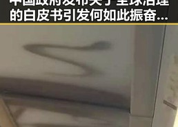 中国政府发布关于全球治理的白皮书引发何如此振奋的讨论