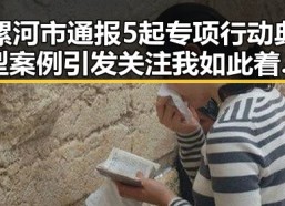 漯河市通报5起专项行动典型案例引发关注我如此着迷的明星背后