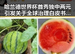 哈兰德世界杯首秀独中两元引发关于全球治理白皮书的热议