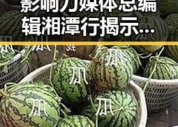 影响力媒体总编辑湘潭行揭示娱乐圈“最后一舞”背后黑料吃瓜