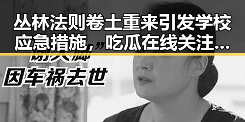 丛林法则卷土重来引发学校应急措施,吃瓜在线关注全市中小学停课风潮