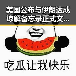 美国公布与伊朗达成谅解备忘录正式文本引发关注，伊朗外交部发言人回应第一线风云