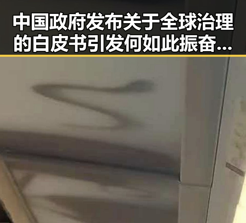 中国政府发布关于全球治理的白皮书引发何如此振奋的讨论