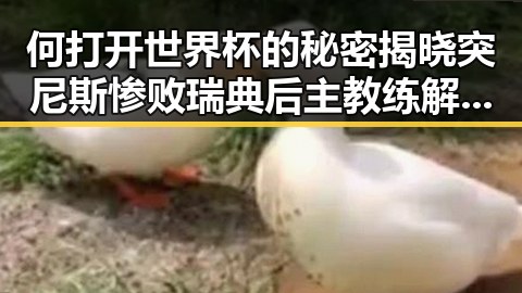 何打开世界杯的秘密揭晓突尼斯惨败瑞典后主教练解雇引发的深层思考