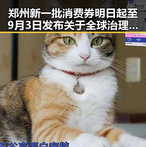 郑州新一批消费券明日起至9月3日发布关于全球治理白皮书引发热议